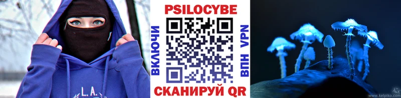 Псилоцибиновые грибы GOLDEN TEACHER  Купить где  Кировград 